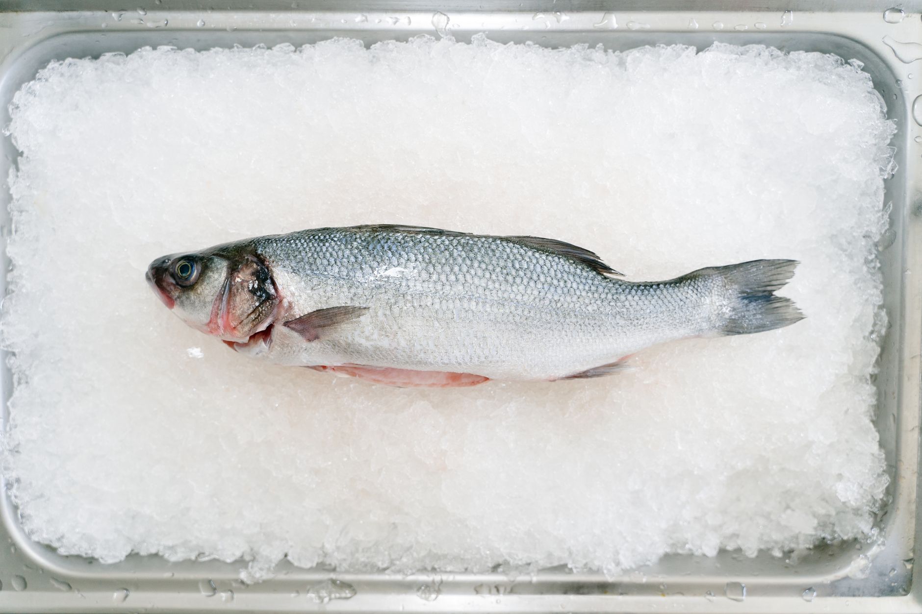 Branzino all'Acqua Pazza: Crispy Sea Bass in Tomato-Caper Broth, One Pan in 25 Minutes